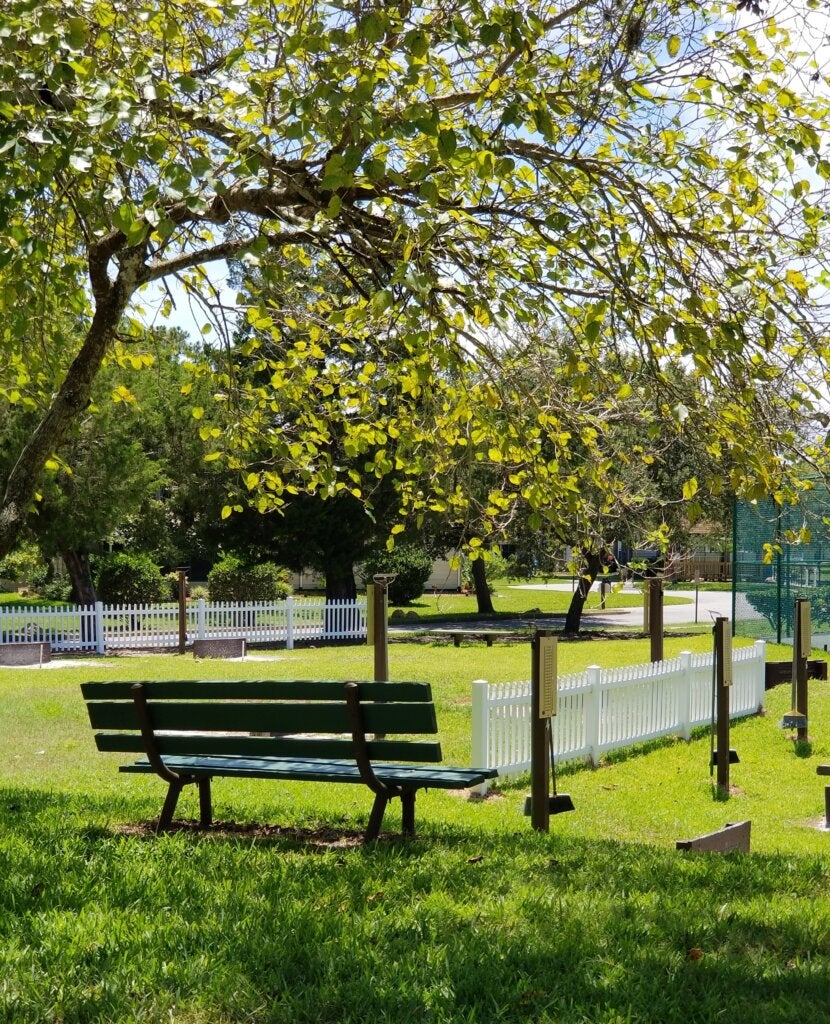 55 Koala Bear Path