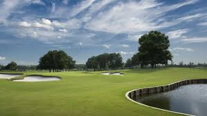 6411 Rolling Greens Dr