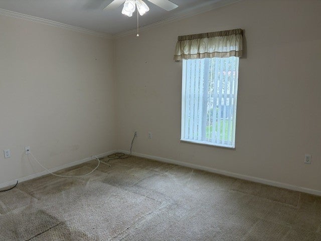 9245 Woodstork Drive