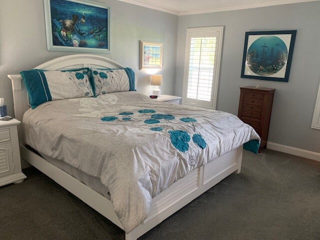 9318 Purple Martin Drive