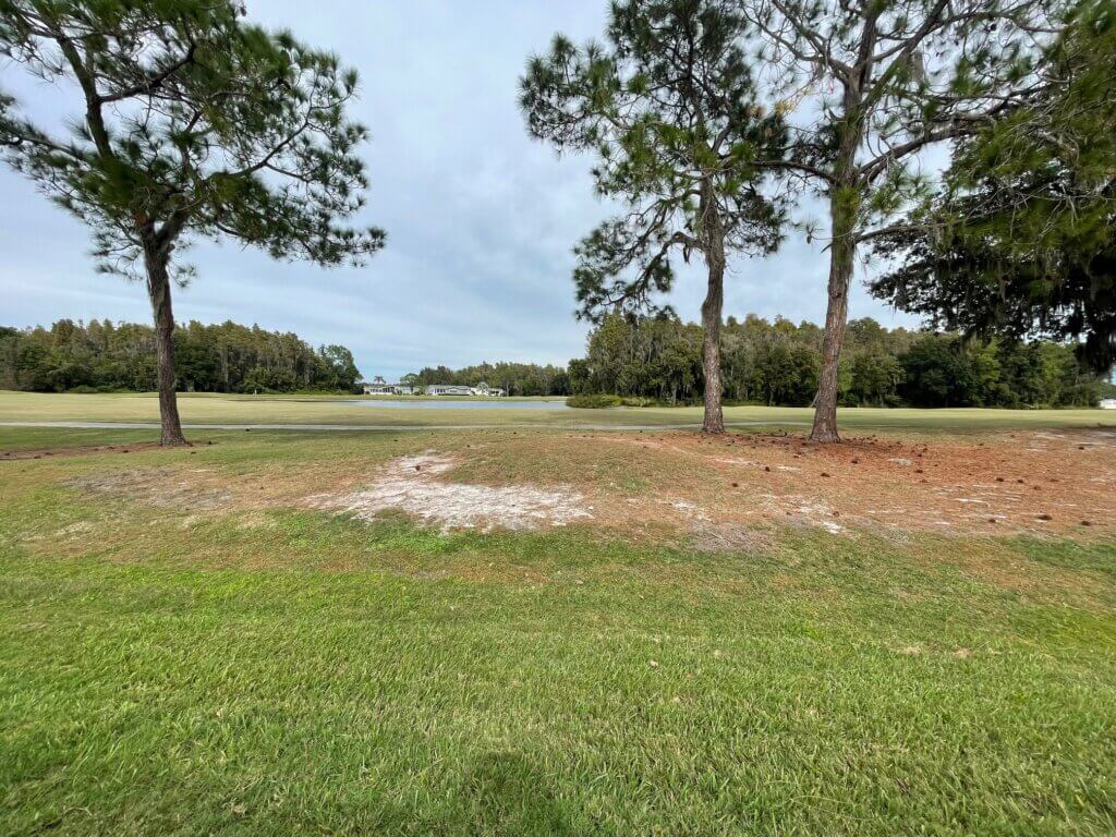 9333 Top Flight Drive