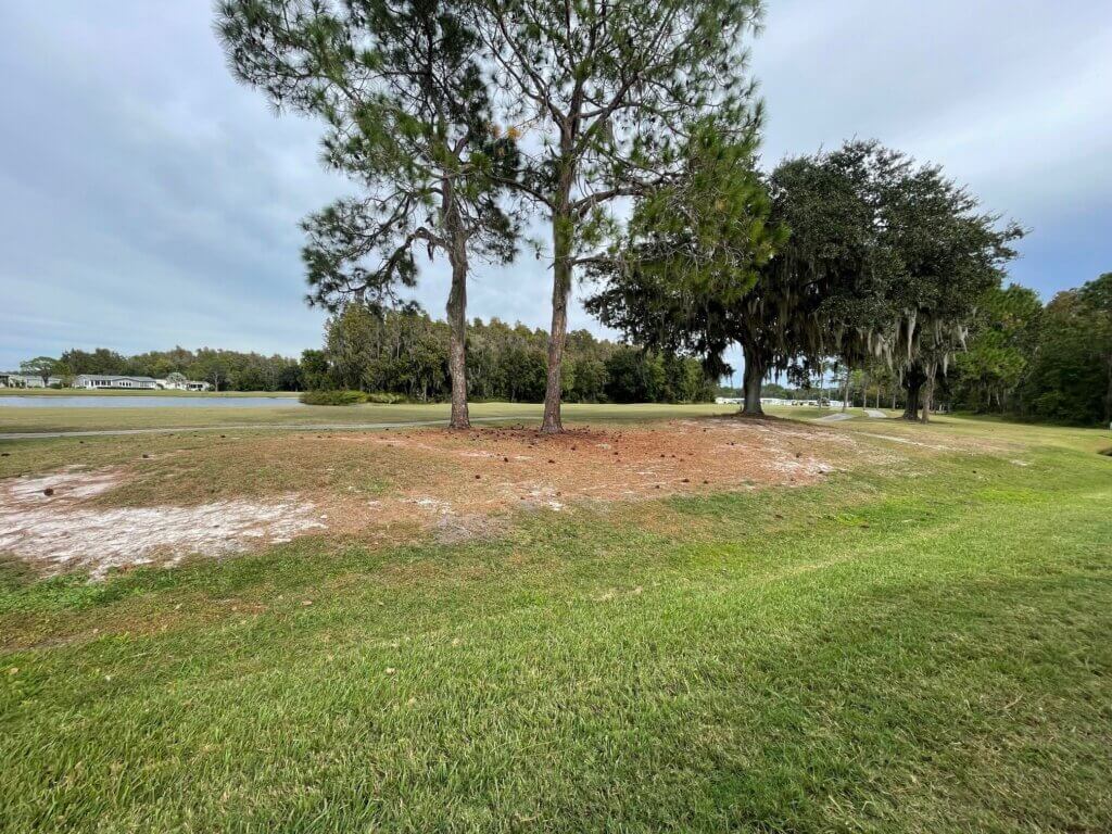 9333 Top Flight Drive