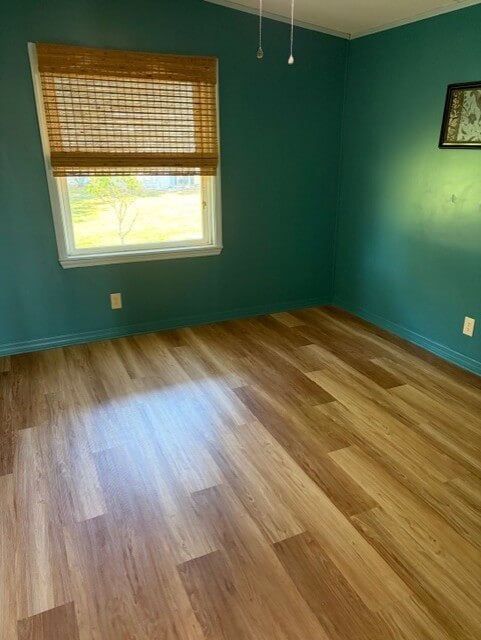 9514 Cypress Tree Ln