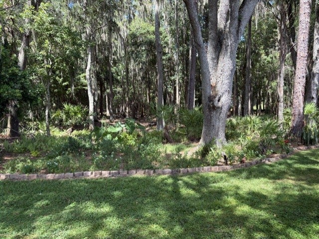9537 Cypress Tree Ln
