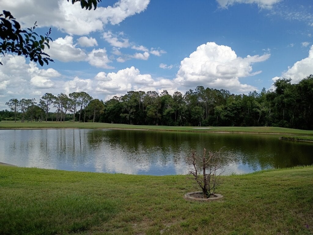 9923 Killdeer Lane